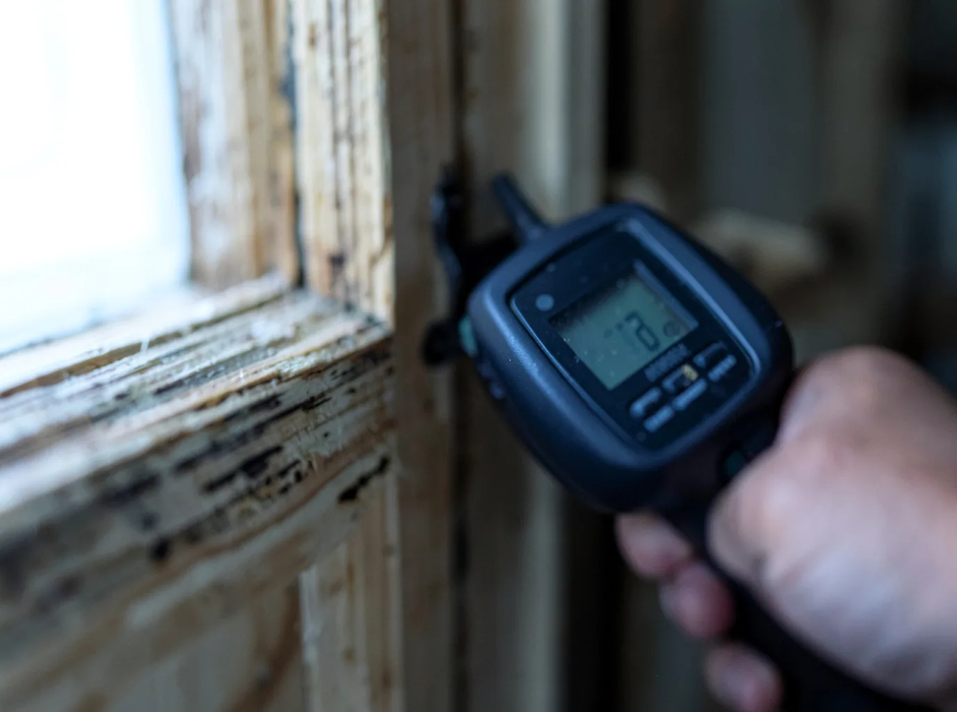Moisture Inspection And Documentation in Ford, VA
